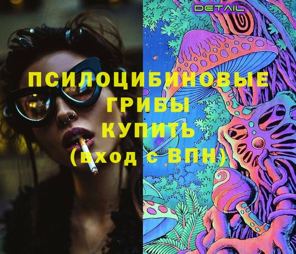 тгк Гусиноозёрск